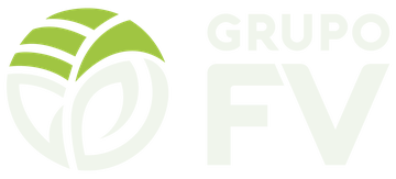 Grupo FV
