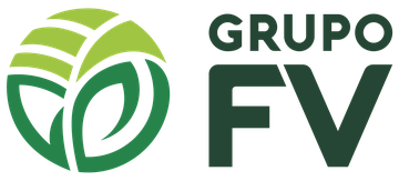 Grupo FV